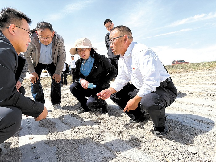全国人大代表马晖玲:发挥专业优势推动草业高质量发展(代表委员履职故事)